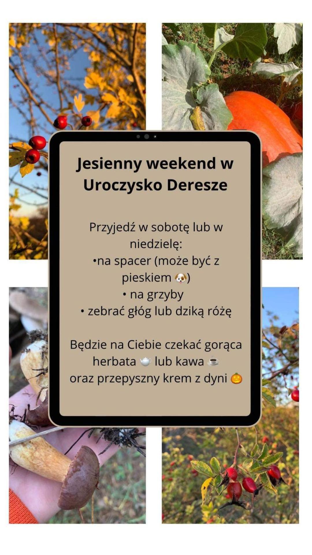 Uroczysko Deresze Villa Gilawy Eksteriør bilde